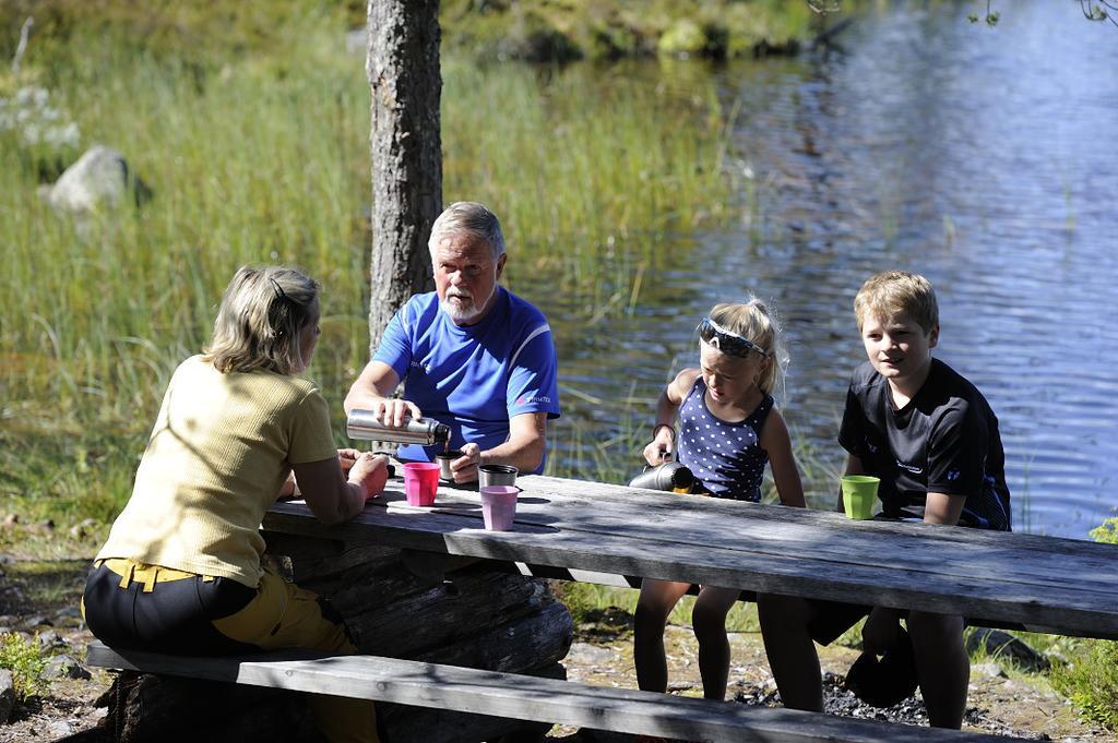 Groenklitt 3* Orsa
